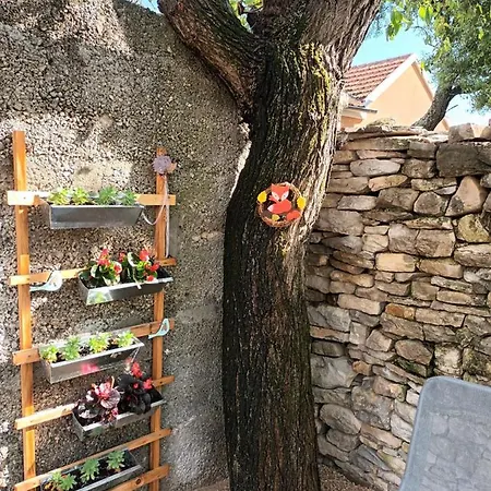 House Ana Appartamento Skradin