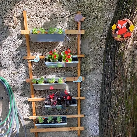 Appartamento House Ana