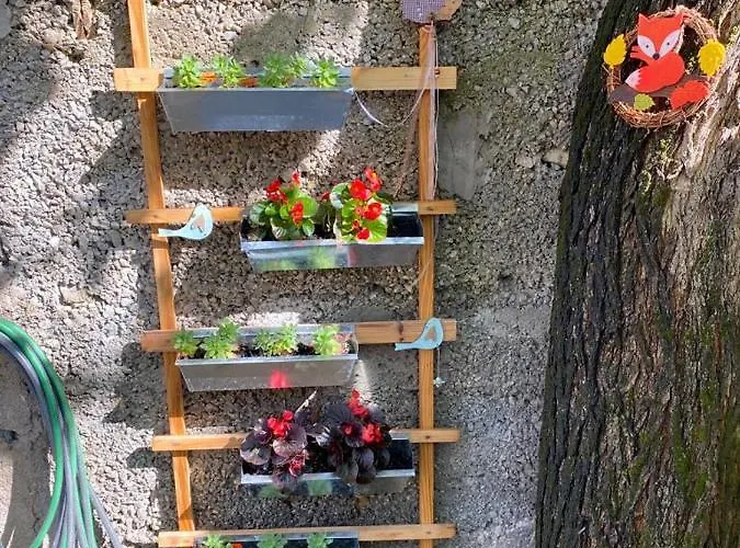 Apartament House Ana